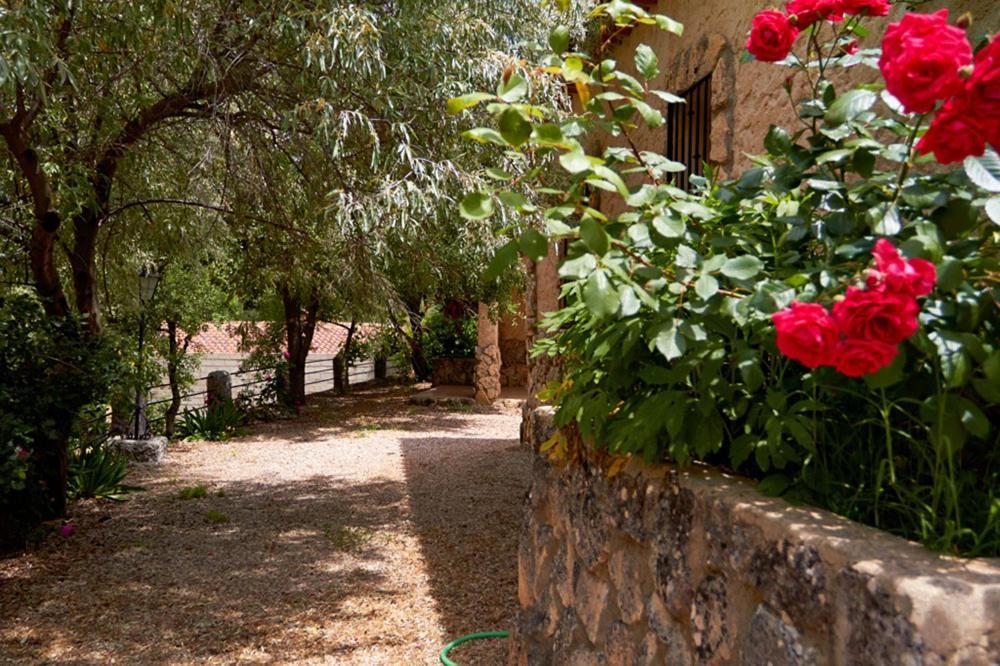Casas Rurales Amable- Yeste Cortijo Prados Dış mekan fotoğraf