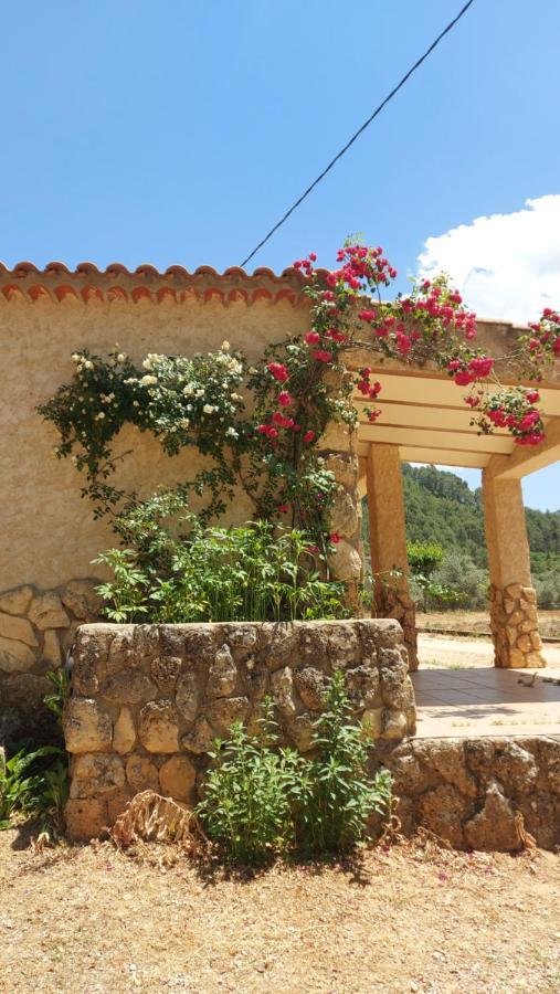 Casas Rurales Amable- Yeste Cortijo Prados Dış mekan fotoğraf
